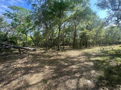 0 Cr 400 Tract 4, Brazoria, TX 77422 - photo 7