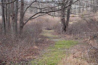 Route 301 New York 301, Carmel Hamlet, NY 10512 - photo 3