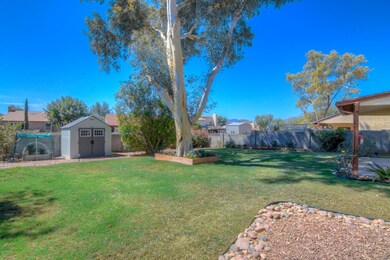 Versatile Yard with Mature Landscape