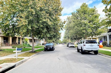 Mature tree lined street