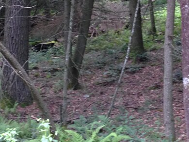 IMG_3224[1]