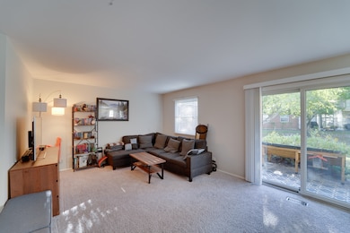 160 Stirling Ln unit X1, Schaumburg, IL 60194 - photo 3