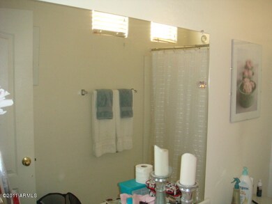 Master Bathroom View 2
