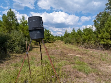 572 Robertson Rd, Lovelady, TX 75851 - photo 7