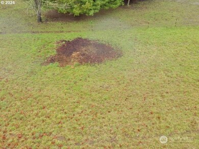 0 Hamilton Rd N unit NWM2206244, Chehalis, WA 98532 - photo 3