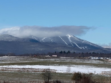 290 Tetreault Rd, Newport Center, VT 05857 - photo 3
