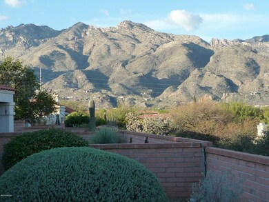 Catalina Mountain Views