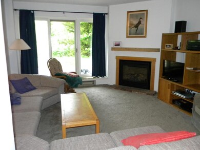 12 Tecumseh Townhouse Unit 12, Waterville Valley, NH 03215 - photo 4
