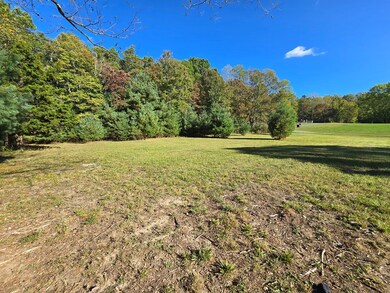 0A Ellison Ridge Rd, Jumping Branch, WV 25969 - photo 7