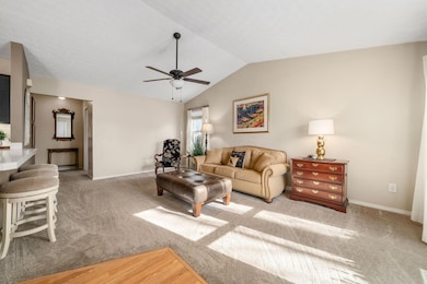 4-web-or-mls-DSC03247