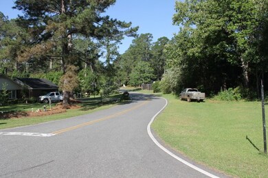 0 Timberlane Dr, Americus, GA 31709 - photo 7