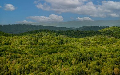 Lot 25 Scouts Overlook Ln, Morganton, GA 30560 - photo 4