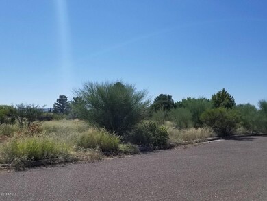 2923 Acacia lot 11 view