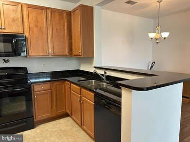 6163 Willow Place unit 303, Bealeton, VA 22712 - photo 4