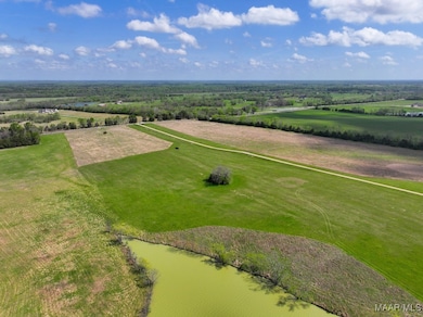 1 Mathews Rd, Mathews, AL 36013 - photo 7