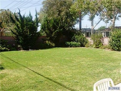 Backyard 2