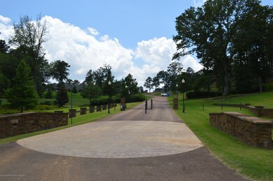 41 Cyrene Dr, Hernando, MS 38632 - photo 5