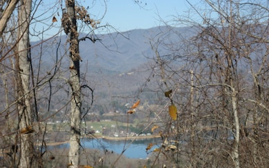 Additional View