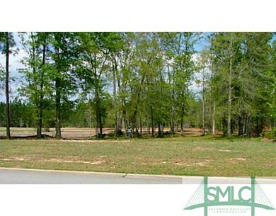 Land/Lot. Lot view from the street.  Approx. lot s