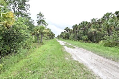 0 36th Ave SE unit 225081357, Naples, FL 34117 - photo 5