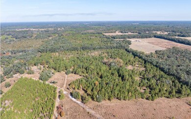 TBD7 129th Rd, Live Oak, FL 32060 - photo 7