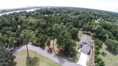 1944 Deep Creek Run, Wilmington, NC 28411 - photo 4