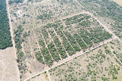TBD Lot 20 Kovar Rd, Flatonia, TX 78941 - photo 3