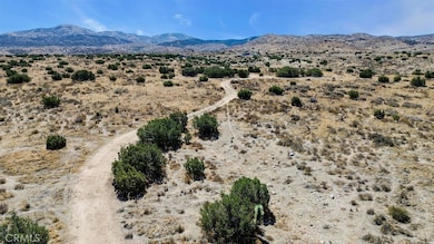 0 Vic Ave V Barrel Springs unit DW25188619, Palmdale, CA - photo 7