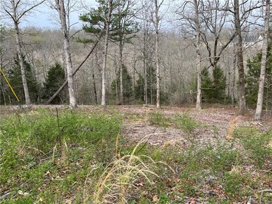 6 Little Dr, Bella Vista, AR 72715 - photo 4