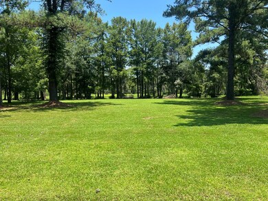 135 Statham Lake Front, Cobb, GA 31735 - photo 2