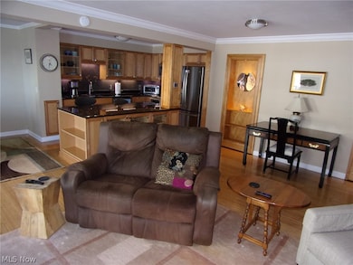 Living room featuring light hardwood / wood-style floors, crown molding, and sink