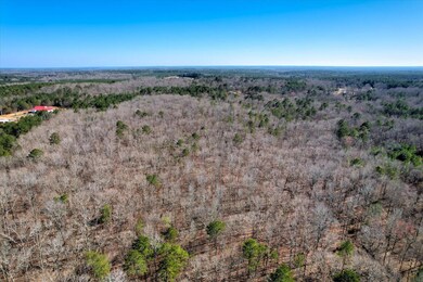 LOT 5&6 Green Acres Rd, Lincolnton, GA 30817 - photo 6