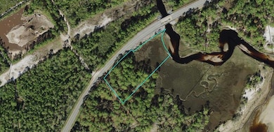 2970 Pristine Dr, Carrabelle, FL 32322 - photo 3