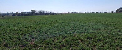 0 230th Ave, New Virginia, IA 50210 - photo 6