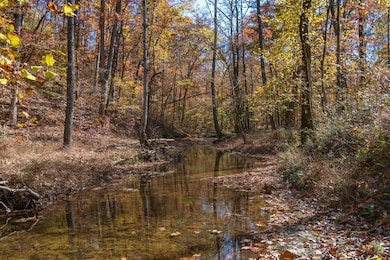 202 Ravenridge Rd, Summertown, TN 38483 - photo 2