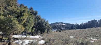 TBD Parcels 3A Bivens Creek Ridge Rd, Sheridan, MT 59749 - photo 7