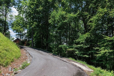 lt340341 Tunica Ln, Ellijay, GA 30540 - photo 6