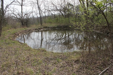 1500 Baxter Ridge Rd, Lawrenceburg, KY 40342 - photo 4