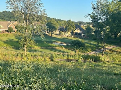 987 Mockingbird Ln, Loudon, TN 37774 - photo 3