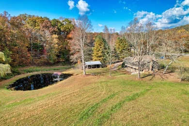 16810 Morganton Hwy, Morganton, GA 30560 - photo 5