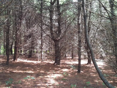 11 Harrison Rd, Naples, ME 04055 - photo 4