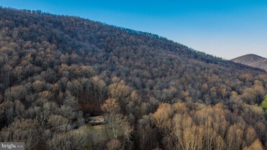 10752 Ramey Rd, Marshall, VA 20115 - photo 4