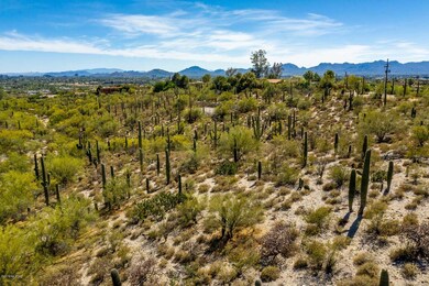 Looking South to UA