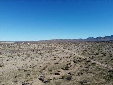 2 Yucca Trail, Oro Grande, CA 92368 - photo 5