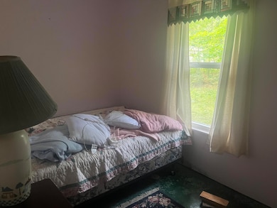 2535 W Wilderness Way, Baldwin, MI 49304 - photo 5