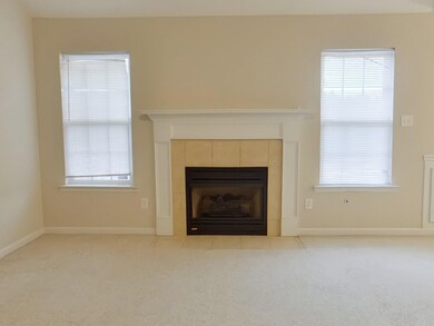 Lexington Fireplace