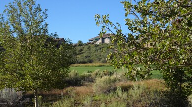 View facing the lot from below