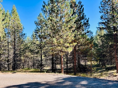 Lot 40 Challis Ln unit 40, Cascade, ID 83611 - photo 5