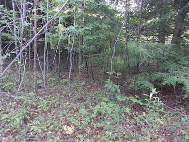 0 Fenn Way Cir unit 48, Bath, NH 03740 - photo 5