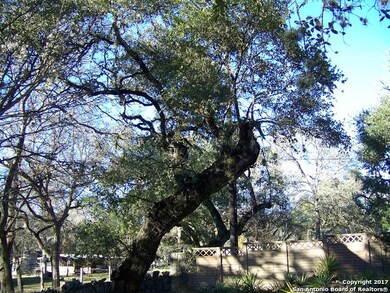 19410 Scenic Loop Rd, Grey Forest, TX - photo 7